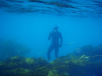 Snorkeling